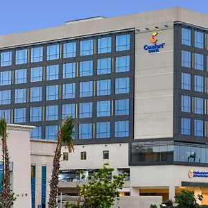 Hotel Comfort King Road